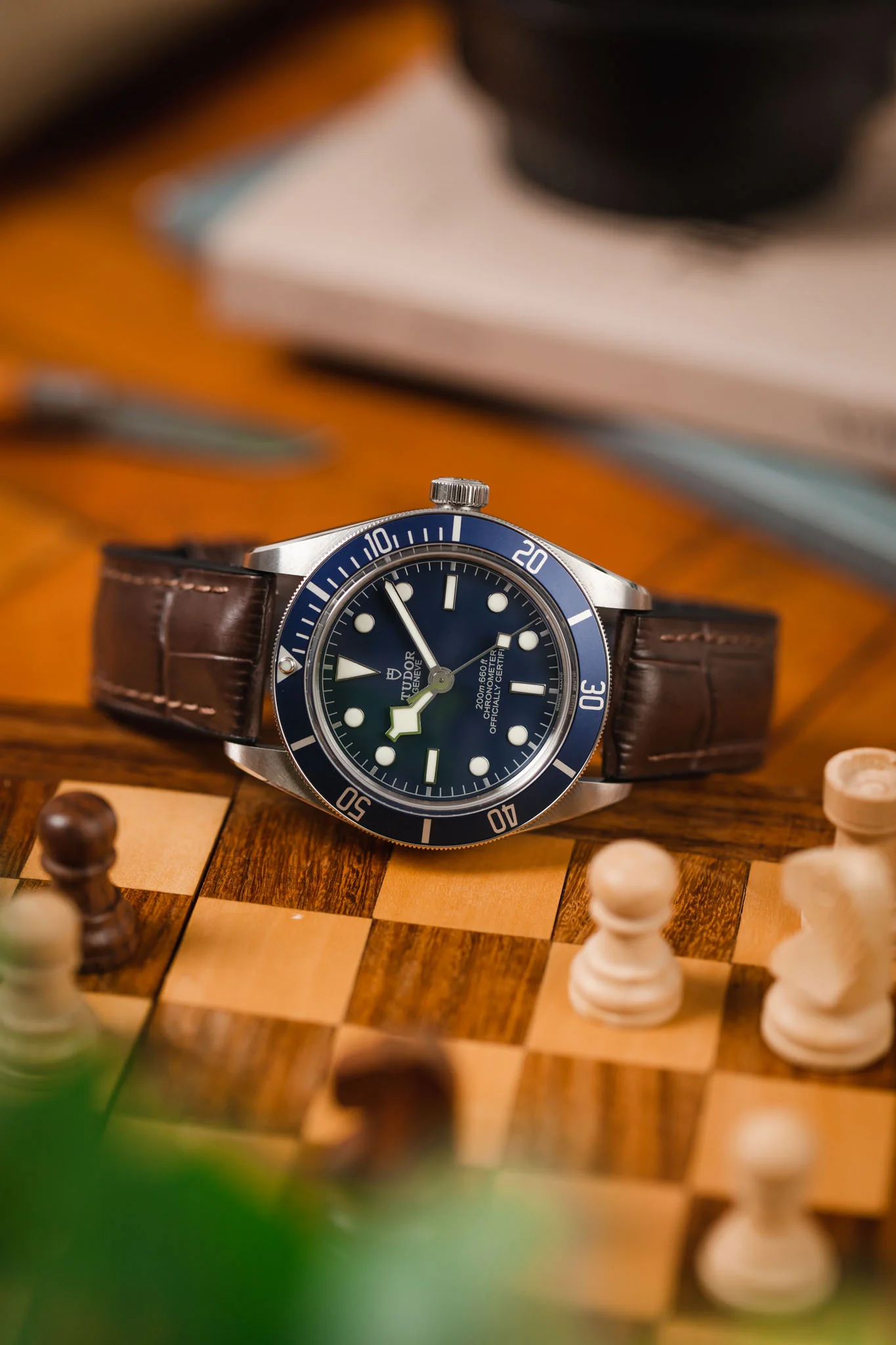 Hirsch PAUL Alligator Embossed Performance Watch Strap in BROWN - Image 4