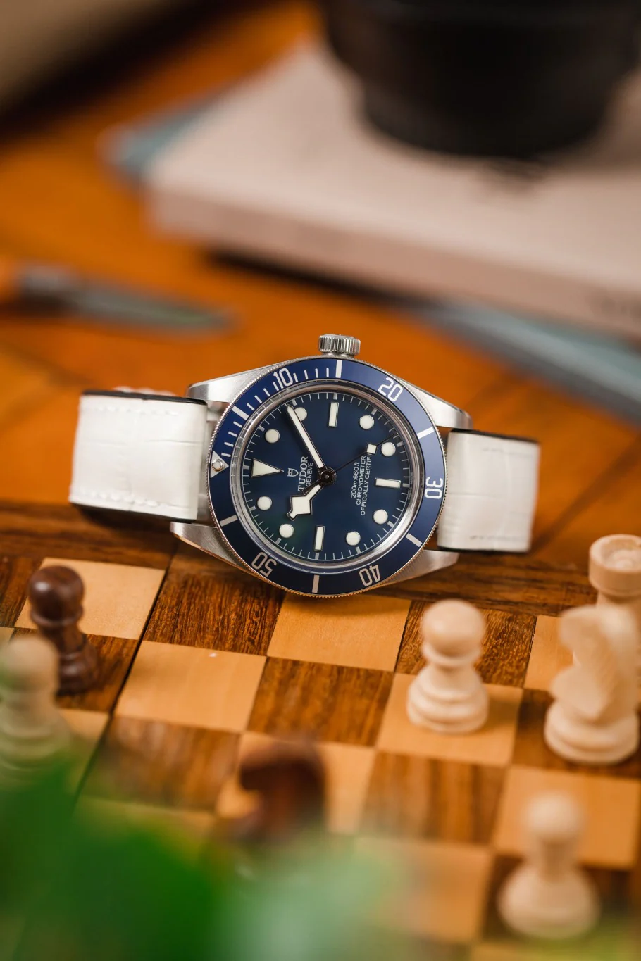 Hirsch PAUL Alligator Embossed Performance Watch Strap in WHITE - Image 4